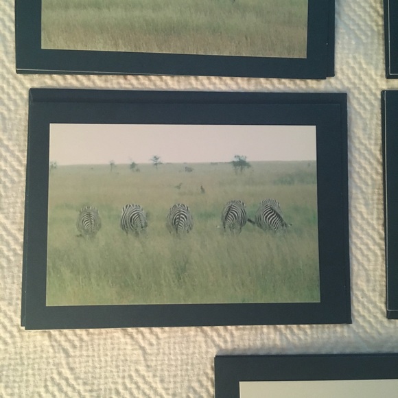 Zebra photograph card set - Picture 6 of 6